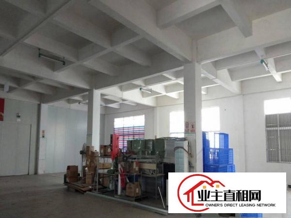  仲恺大道海关旁新出一楼1000平方业主直租