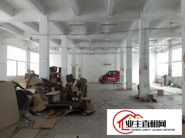  仲恺大道海关旁新出一楼1000平方业主直租