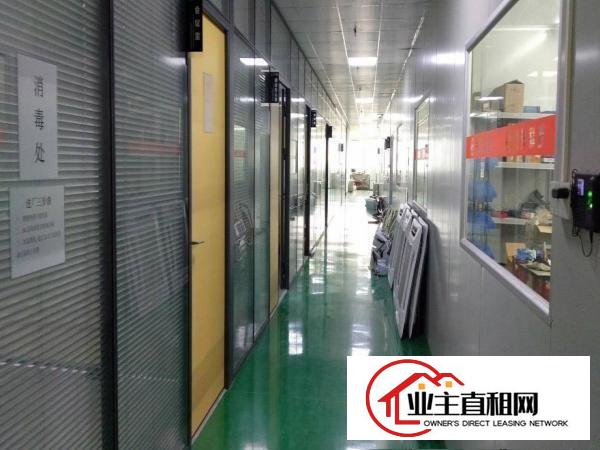  无尘车间厂房1100平方业主直租