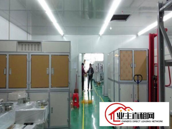  无尘车间厂房1100平方业主直租