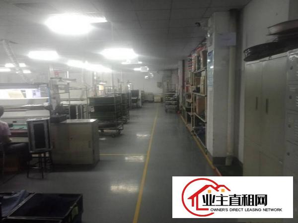  仲恺高新区中心区域标准厂房一楼1800平方出租！