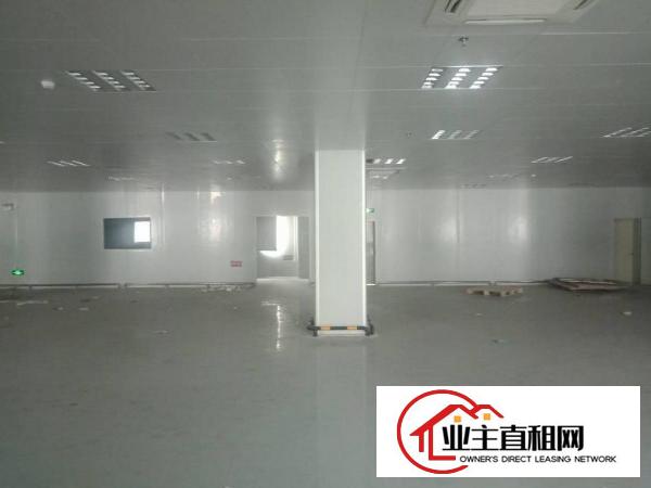  仲恺高新区中心区域标准厂房一楼1800平方出租！