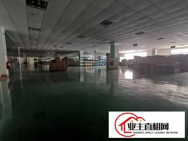  仲恺核心区惠环新出偶像级高颜值精装修无尘厂房低价急租