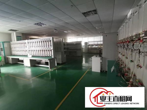  仲恺核心区惠环新出偶像级高颜值精装修无尘厂房低价急租