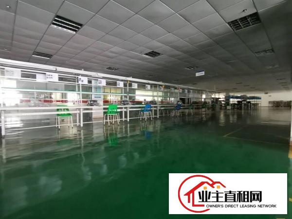  仲恺核心区惠环新出偶像级高颜值精装修无尘厂房低价急租