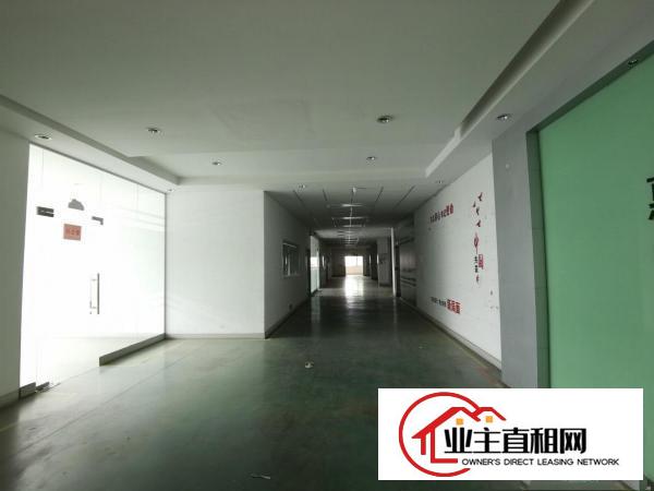  仲恺惠环工业园标准厂房22140平可按需分租1楼6.5M
