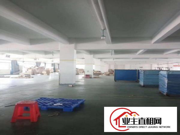  仲恺惠环工业园标准厂房22140平可按需分租1楼6.5M
