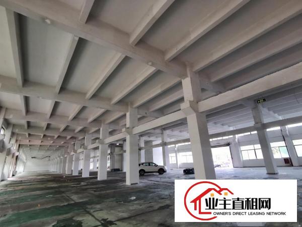  仲恺惠环工业园标准厂房22140平可按需分租1楼6.5M