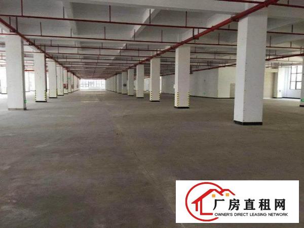  仲恺TCL附近一楼厂房3000平出租