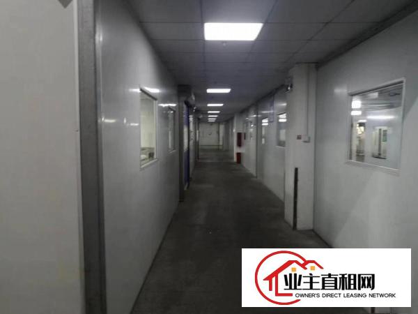  惠环楼房一楼4200平（滴水6米）大小可分租