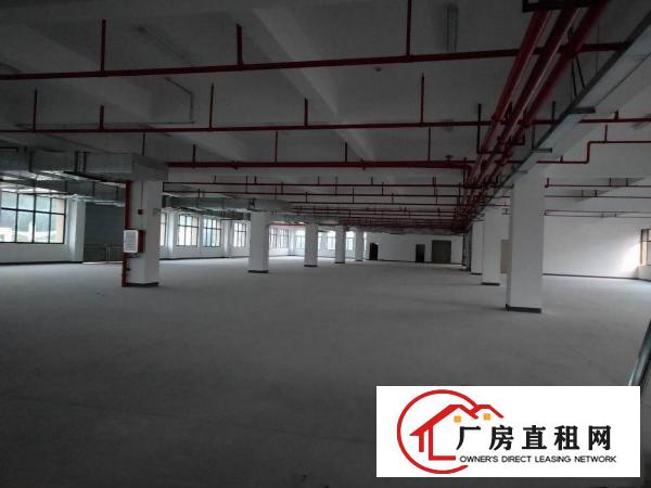  注意查收新消息！惠台电子厂房1000平出租