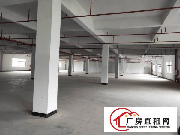  注意查收新消息！惠台电子厂房1000平出租
