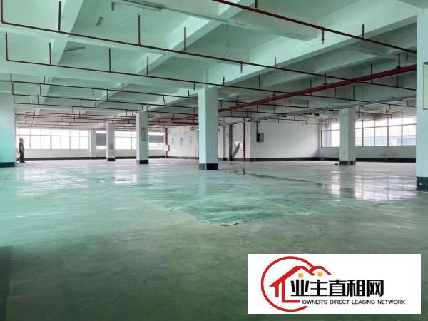  仲恺惠环新出1340平米带装修，带办公室的标准厂房出租