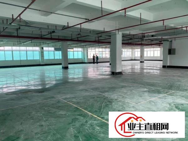  仲恺惠环新出1340平米带装修，带办公室的标准厂房出租