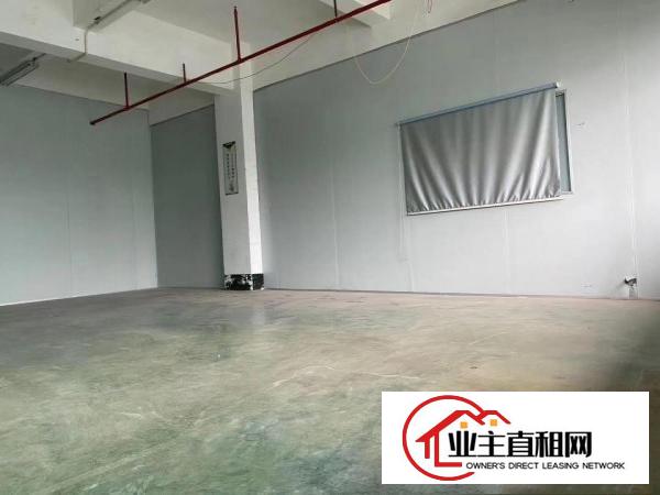  仲恺惠环新出1340平米带装修，带办公室的标准厂房出租