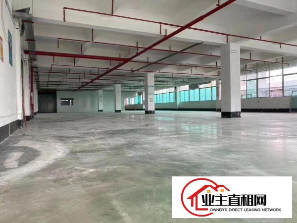  仲恺惠环新出1340平米带装修，带办公室的标准厂房出租
