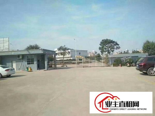  陈江独院2100平可办环评带装修全新钢结构厂房招租可分租