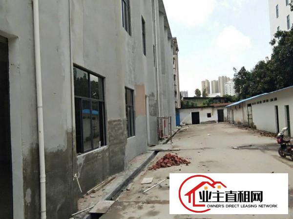  仲恺惠环6000平米全新独院标准厂房出租