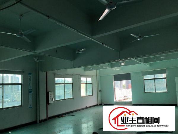  平南市场旁单层1000平豪华装修带露台厂房招租