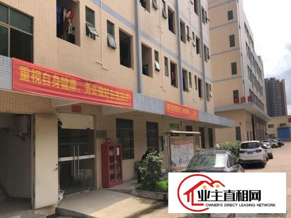  平南市场旁单层1000平豪华装修带露台厂房招租