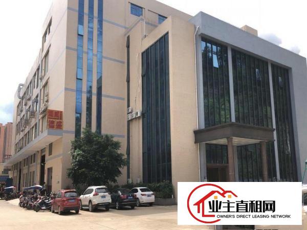  平南市场旁单层1000平豪华装修带露台厂房招租