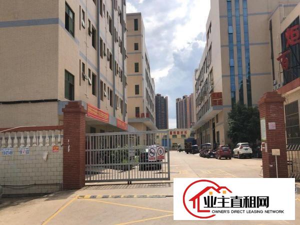  平南市场旁单层1000平豪华装修带露台厂房招租
