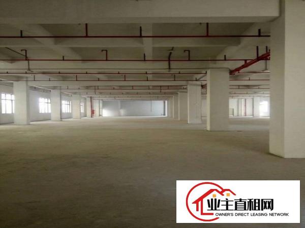  仲恺平南工业园厂房800平米出租电按需宿舍按需。
