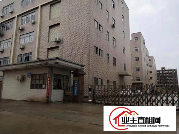  仲恺平南工业园厂房800平米出租电按需宿舍按需。
