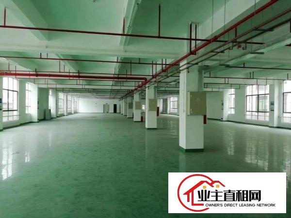  仲恺平南工业园厂房800平米出租电按需宿舍按需。