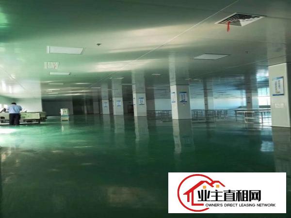  仲恺平南工业园厂房800平米出租电按需宿舍按需。