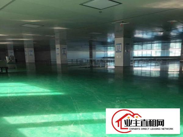  仲恺平南工业园厂房800平米出租电按需宿舍按需。