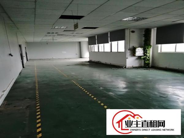  平南市场旁单层1150平花园式带豪华装修厂房招租