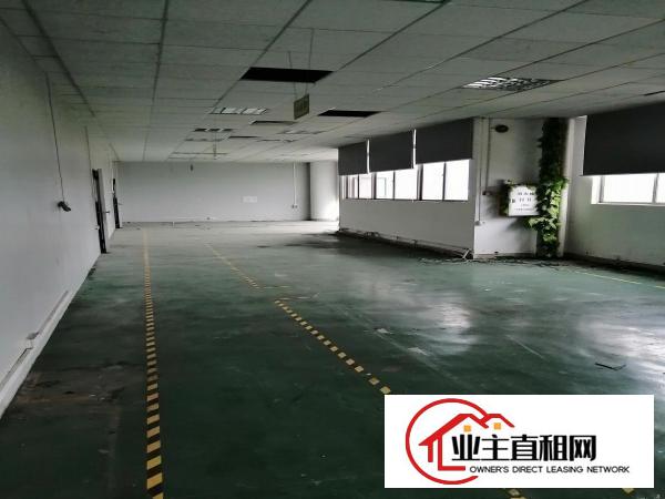  平南市场旁单层1150平花园式带豪华装修厂房招租