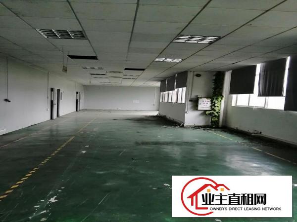  平南市场旁单层1150平花园式带豪华装修厂房招租
