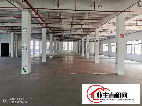  惠州市惠环大型工业区标准厂房招租，非常适合上市公司