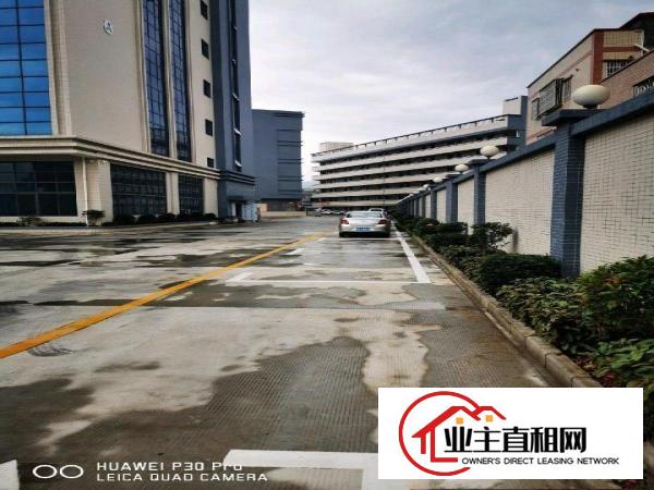  沥林高速出口，全新厂房出租，自持物业，免中介费
