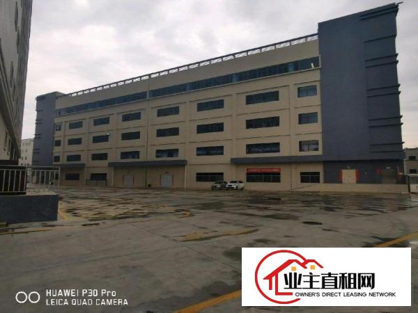  沥林高速出口，全新厂房出租，自持物业，免中介费