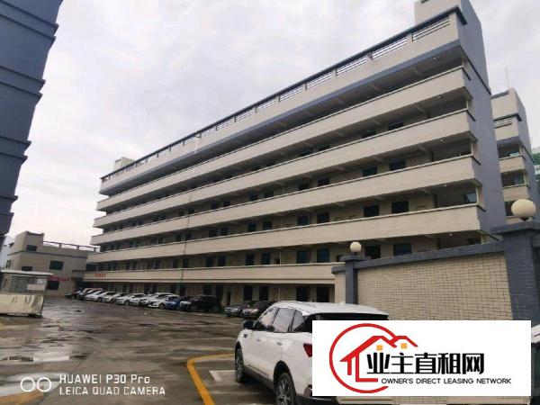  沥林高速出口，全新厂房出租，自持物业，免中介费