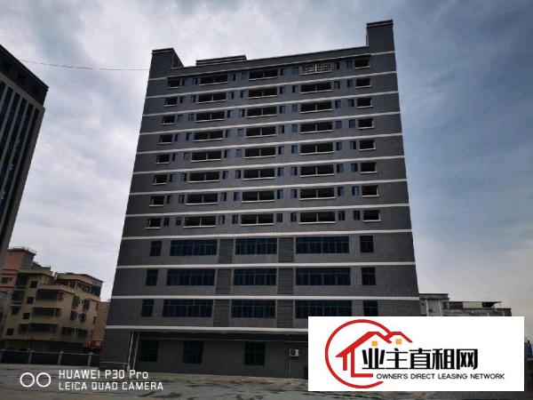  沥林高速出口200米，全新厂房出租，带牛角