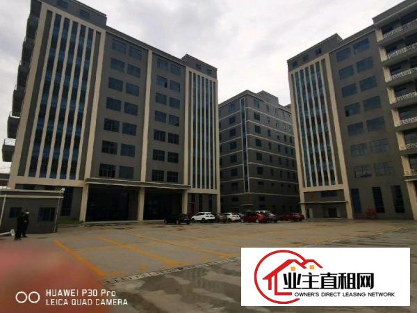  沥林高速出口200米，全新厂房出租，带牛角