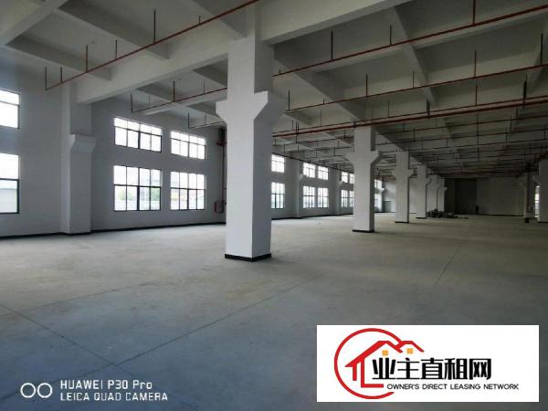  沥林高速出口200米，全新厂房出租，带牛角