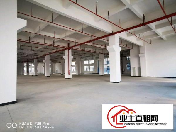  沥林高速出口200米，全新厂房出租，带牛角