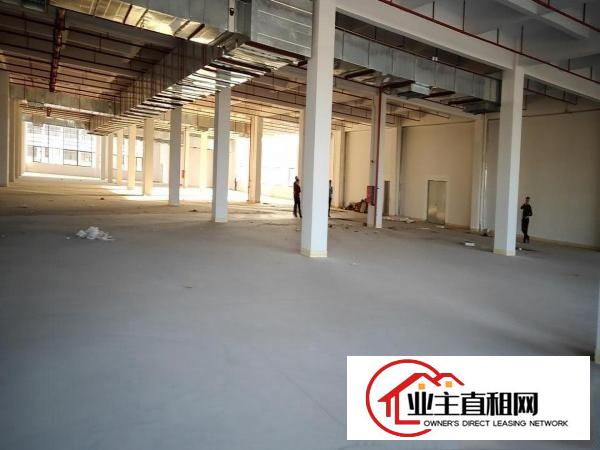  沥林工业园分租厂房1800平米出租。