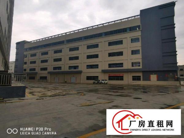 全新厂房出租，可任意面积分租，免租期可谈，无中介费