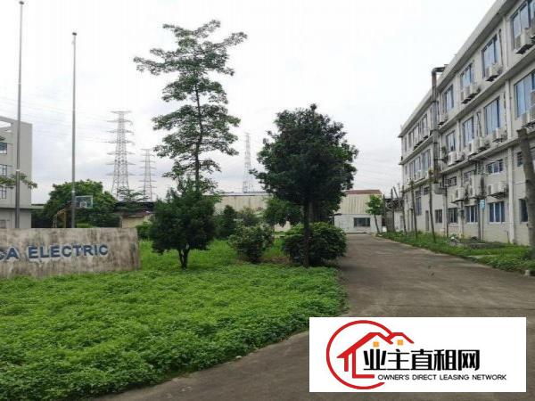  沥林村标准钢构有证件厂房出租可以办环评，大空地