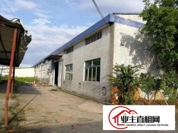  企岭村独院钢构厂房1300方出租，滴水7米，适合仓库