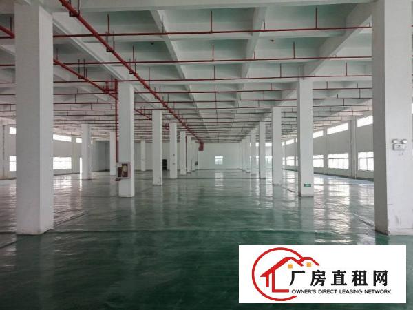  仲恺沥林英光工业区一楼厂房1600平方出租！