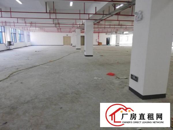  大形工业园区二楼2500平方