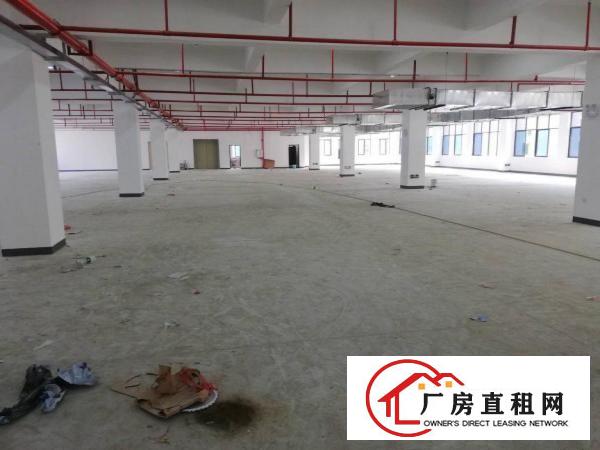  大形工业园区二楼2500平方