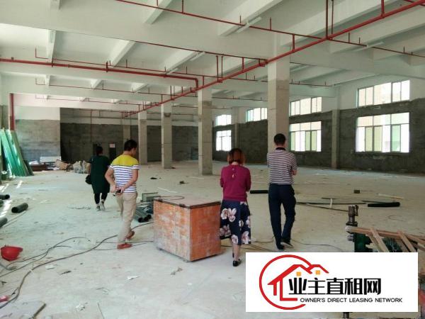  潼侨工业园伊连特电子厂分租一楼700平带装修有环评原房东招租